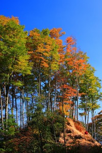 欧国联球队荣登擂台斩获胜利