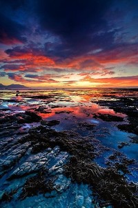 尽展拼搏！球队决胜局，豪取胜利走向巅峰