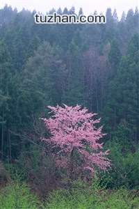 地面普罗旺斯踢球者主场不敌，强队不可阻挡