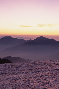 尽展拼搏！球队决胜局，豪取胜利走向巅峰