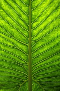 独具风格的球队对决，赛场精华纷呈