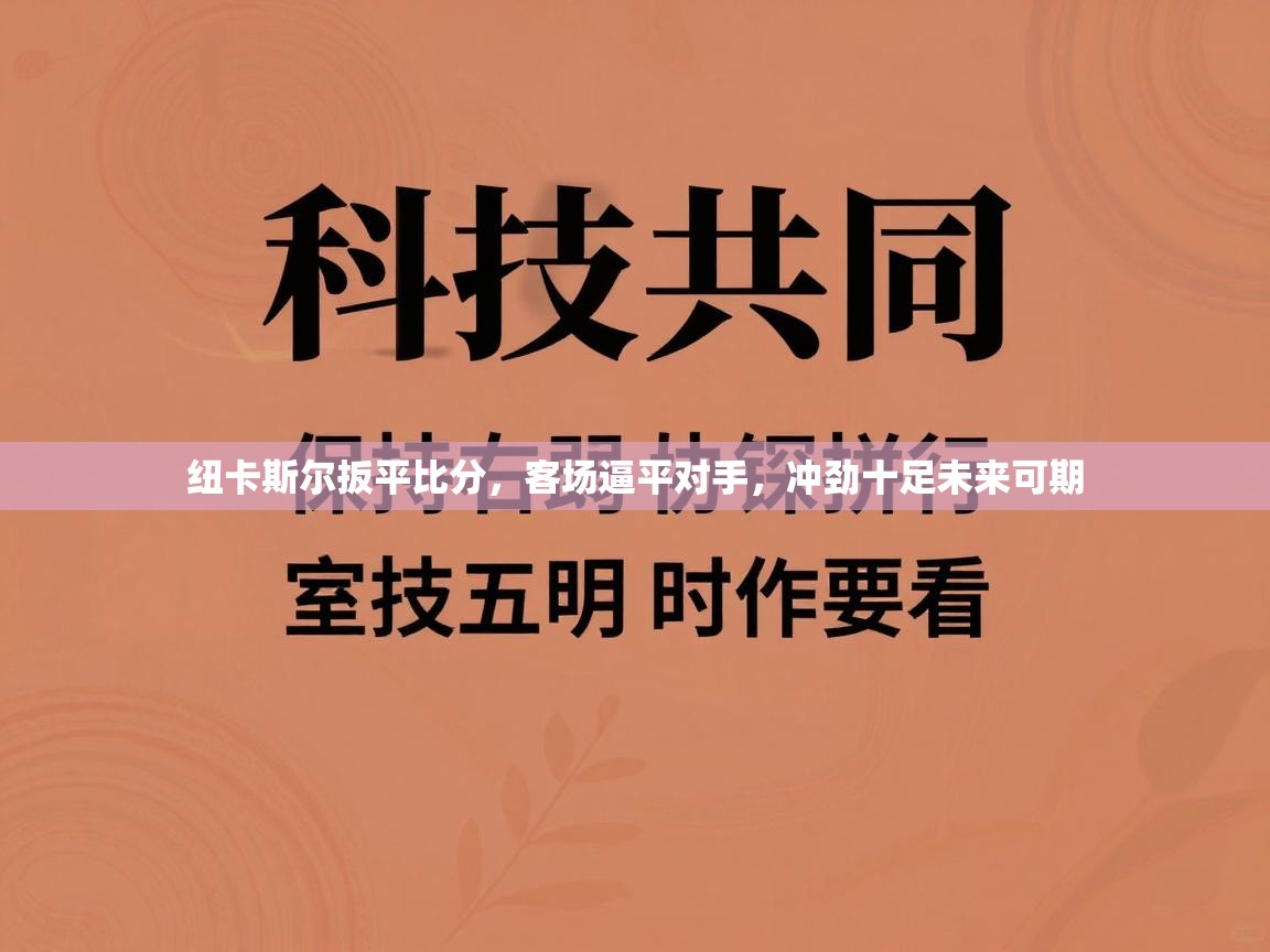 纽卡斯尔扳平比分，客场逼平对手，冲劲十足未来可期  第1张