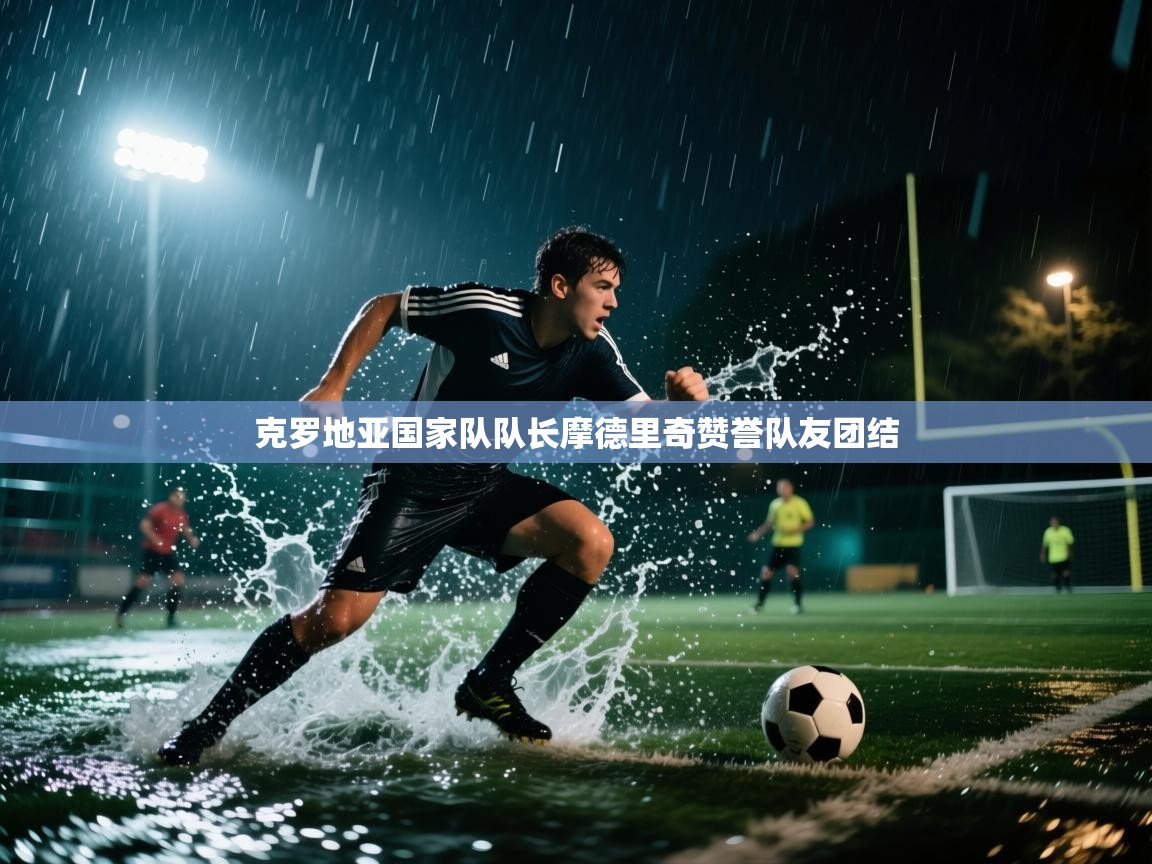 克罗地亚国家队队长摩德里奇赞誉队友团结