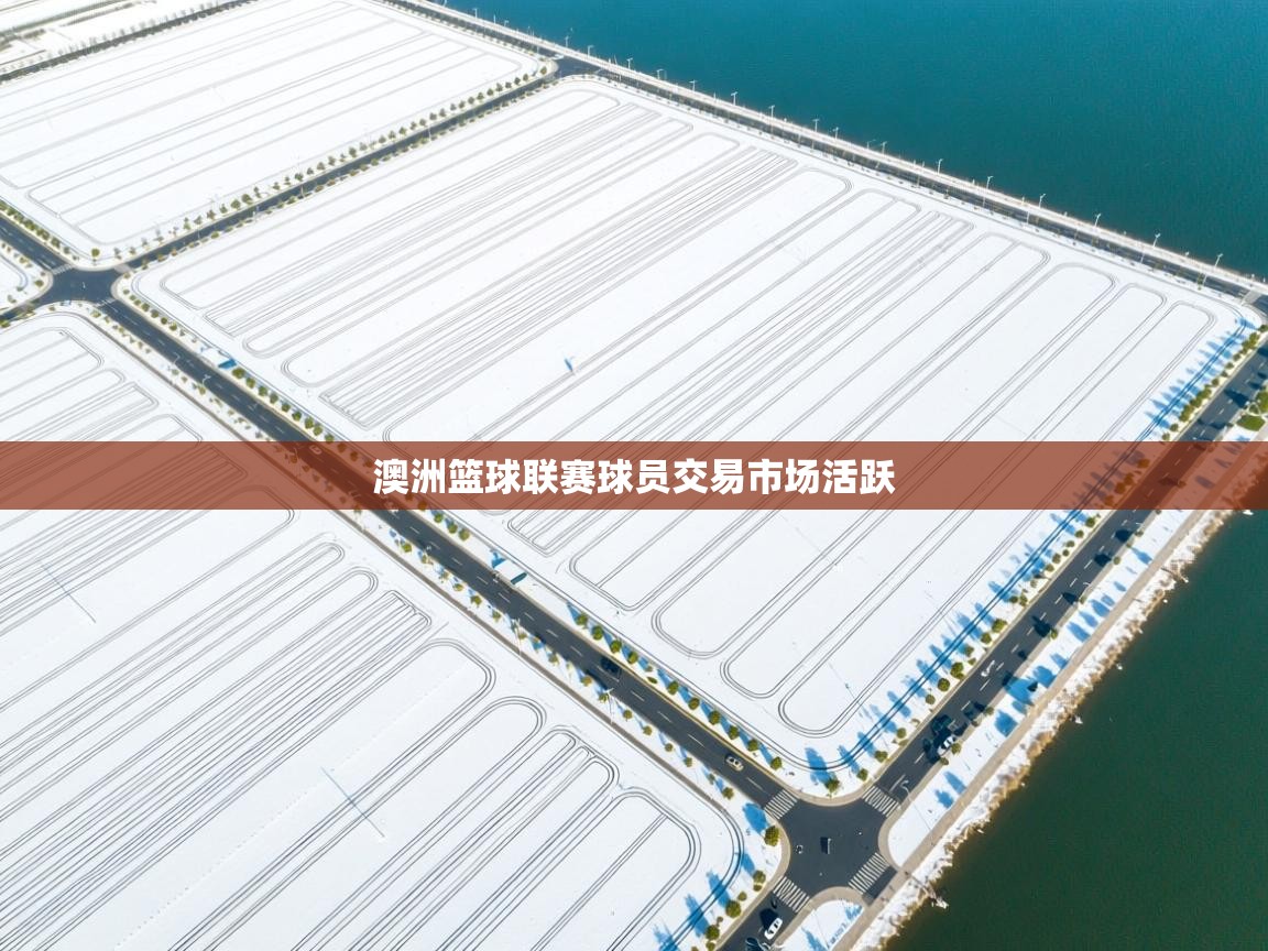 澳洲篮球联赛球员交易市场活跃 第1张