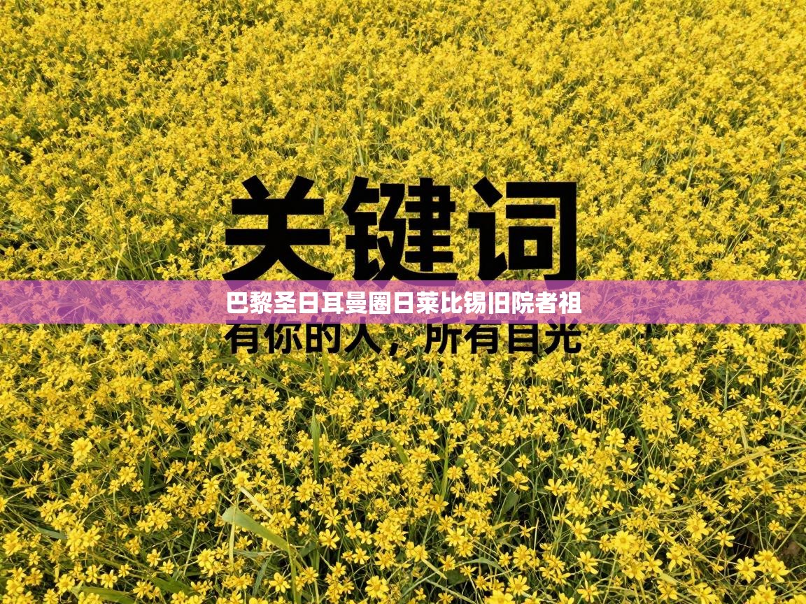 巴黎圣日耳曼圈日莱比锡旧院者祖  第1张