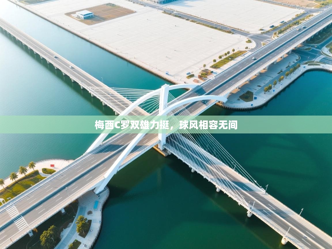 梅西C罗双雄力挺，球风相容无间  第2张