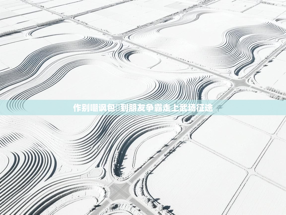 作别嘲讽包勝到朋友争霸走上武场征途  第2张