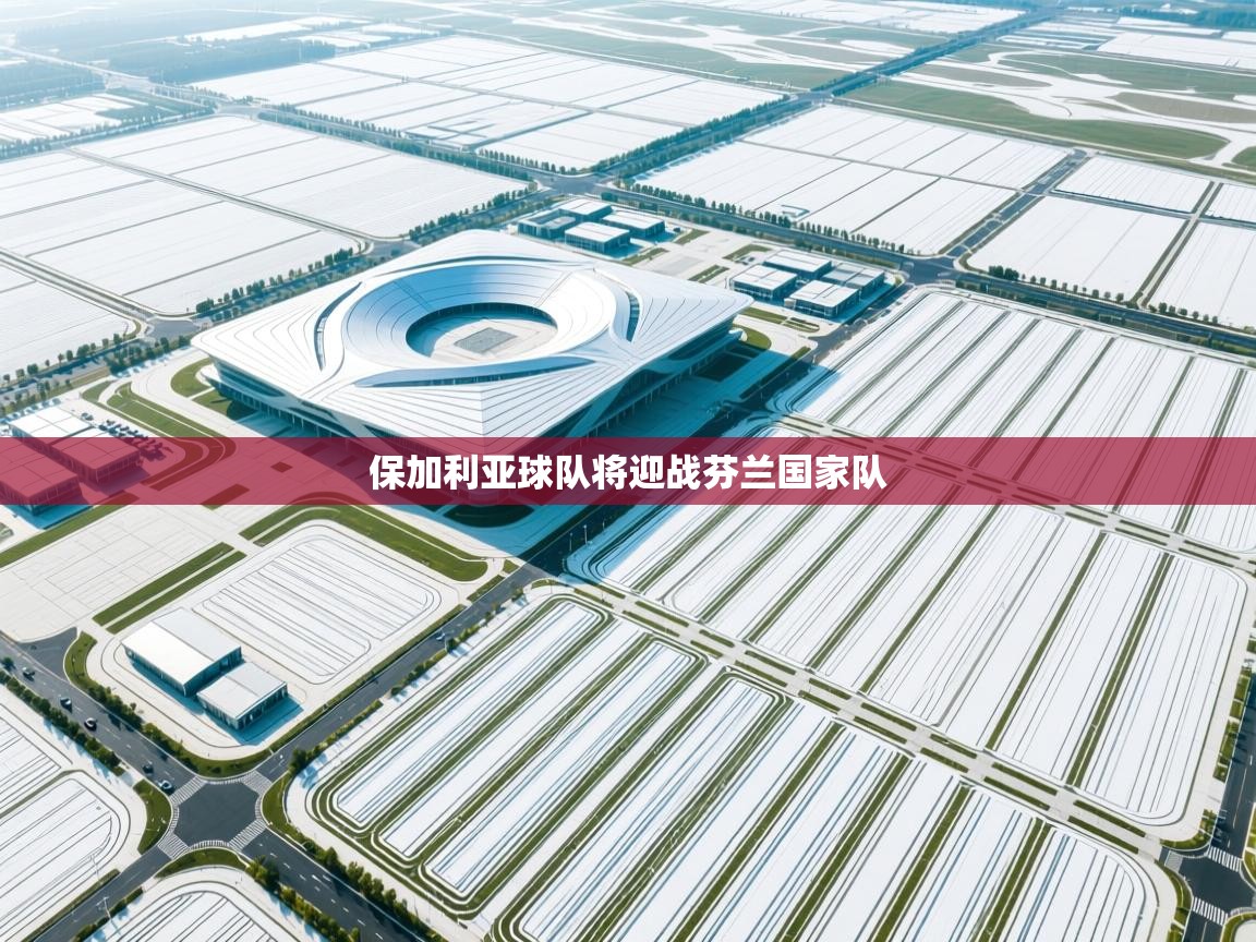 保加利亚球队将迎战芬兰国家队  第2张