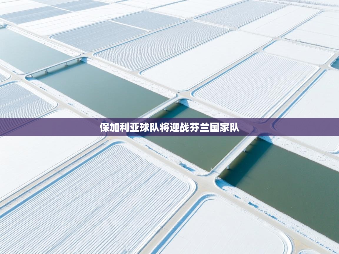 保加利亚球队将迎战芬兰国家队  第1张